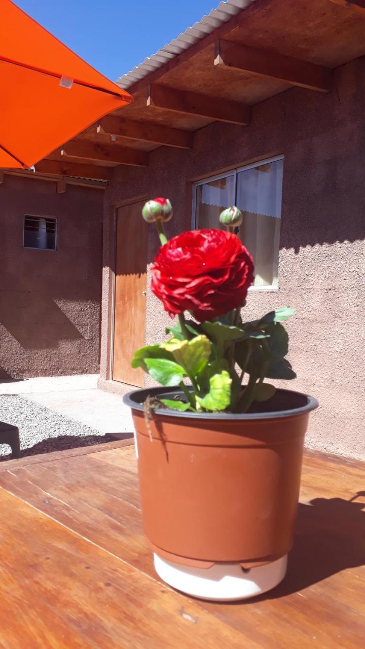 Hostal Open House San Pedro de Atacama Exterior photo